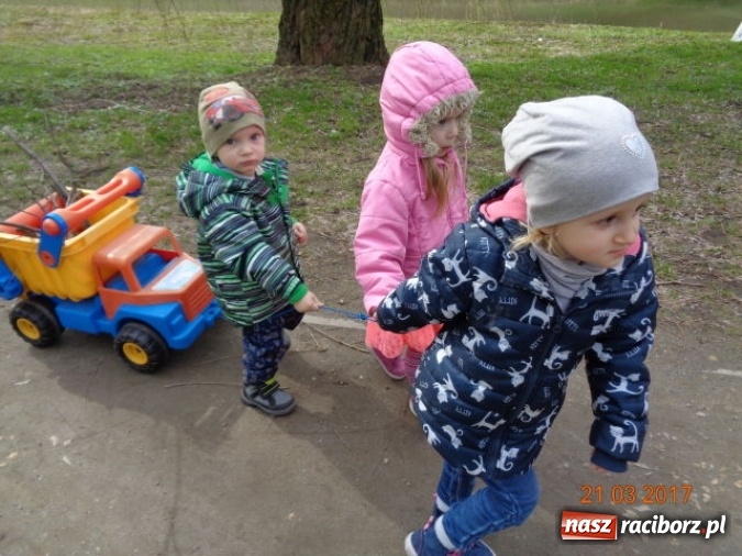 Zdjęcie w galerii na portalu naszraciborz.pl: Fiku-miku powitało już wiosnę  wiadomości z regionu