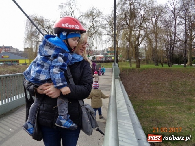 Zdjęcie w galerii na portalu naszraciborz.pl: Fiku-miku powitało już wiosnę  wiadomości z regionu