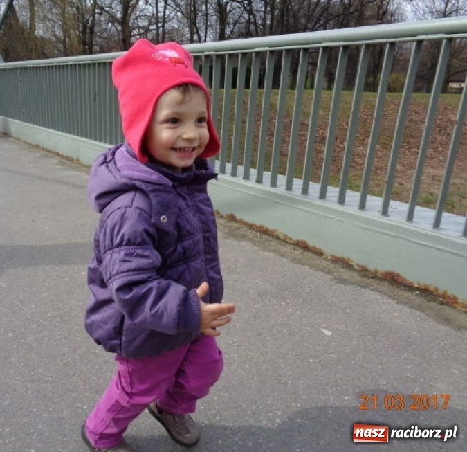 Zdjęcie w galerii na portalu naszraciborz.pl: Fiku-miku powitało już wiosnę  wiadomości z regionu