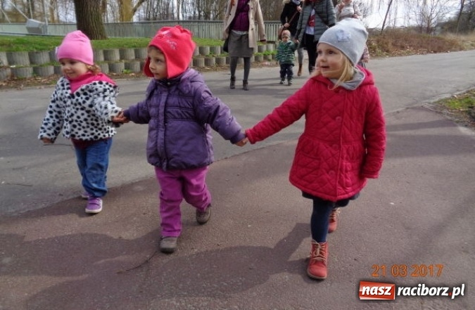 Zdjęcie w galerii na portalu naszraciborz.pl: Fiku-miku powitało już wiosnę  wiadomości z regionu