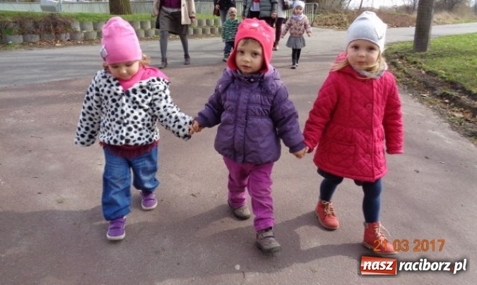 Zdjęcie w galerii na portalu naszraciborz.pl: Fiku-miku powitało już wiosnę  wiadomości z regionu