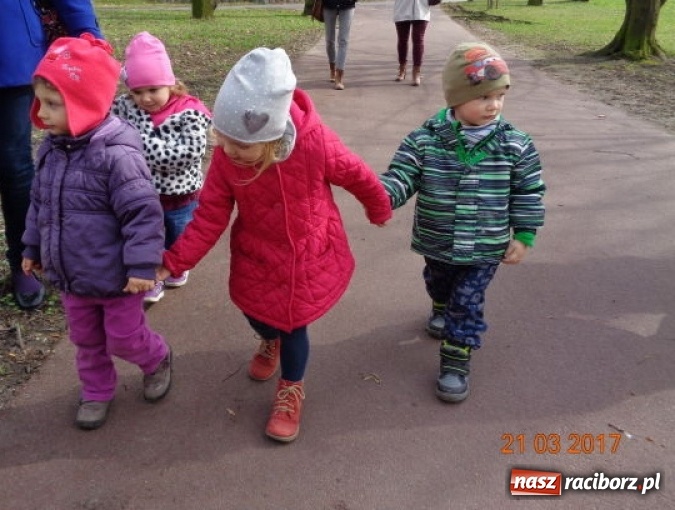 Zdjęcie w galerii na portalu naszraciborz.pl: Fiku-miku powitało już wiosnę  wiadomości z regionu