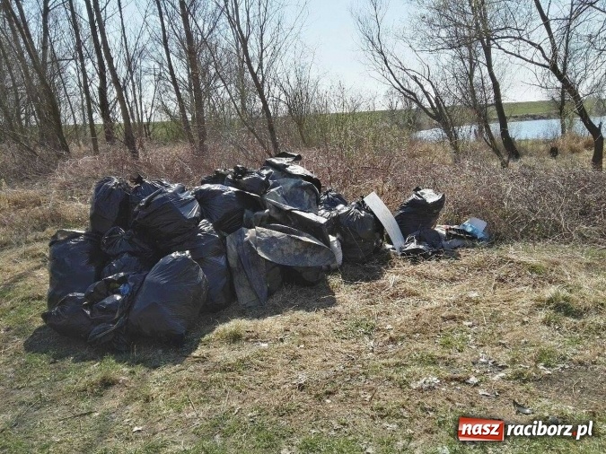 Zdjęcie w galerii na portalu naszraciborz.pl: Wędkarze Koła nr 46 SGL Carbon sprzątali łowiska Łęg wiadomości z regionu