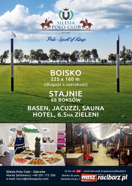 Zdjęcie w galerii na portalu naszraciborz.pl: Jeździsz konno? Rozwiń swoje umiejętności - naucz się gry w polo! wiadomości z regionu