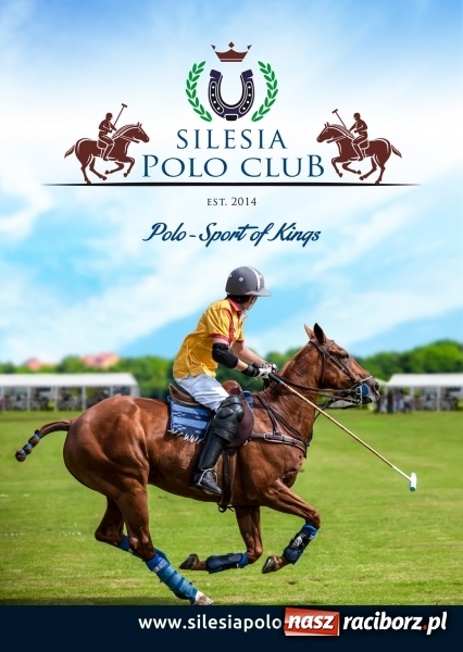 Zdjęcie w galerii na portalu naszraciborz.pl: Jeździsz konno? Rozwiń swoje umiejętności - naucz się gry w polo! wiadomości z regionu