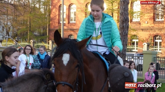 Zdjęcie w galerii na portalu naszraciborz.pl: Raciborska książnica zorganizowała XV Noc z Andersenem wiadomości z regionu