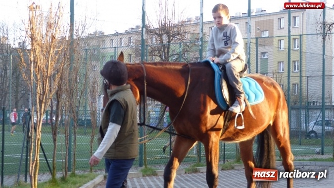 Zdjęcie w galerii na portalu naszraciborz.pl: Raciborska książnica zorganizowała XV Noc z Andersenem wiadomości z regionu