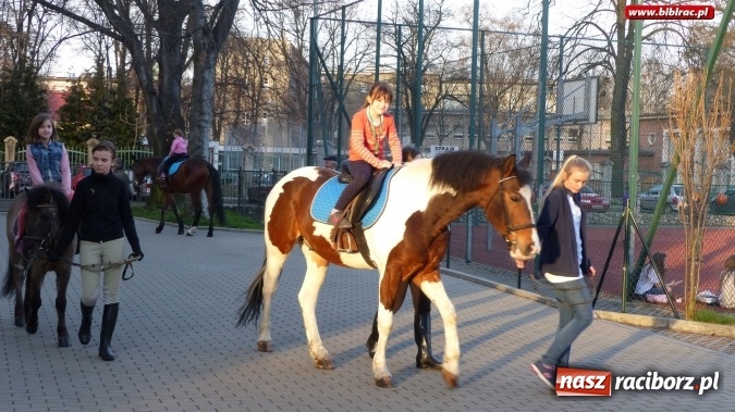 Zdjęcie w galerii na portalu naszraciborz.pl: Raciborska książnica zorganizowała XV Noc z Andersenem wiadomości z regionu