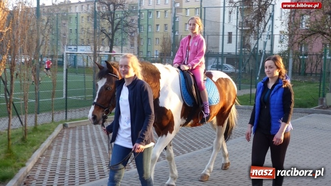 Zdjęcie w galerii na portalu naszraciborz.pl: Raciborska książnica zorganizowała XV Noc z Andersenem wiadomości z regionu