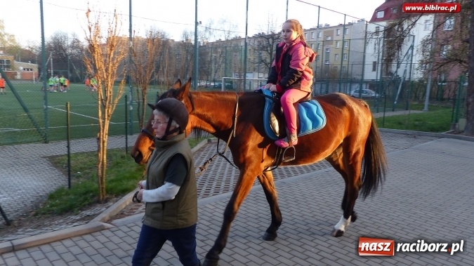 Zdjęcie w galerii na portalu naszraciborz.pl: Raciborska książnica zorganizowała XV Noc z Andersenem wiadomości z regionu
