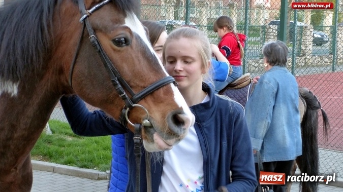 Zdjęcie w galerii na portalu naszraciborz.pl: Raciborska książnica zorganizowała XV Noc z Andersenem wiadomości z regionu