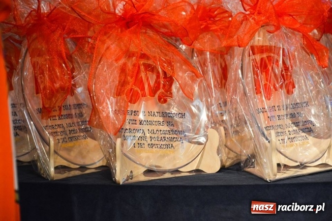 Zdjęcie w galerii na portalu naszraciborz.pl: Młodzieżowa Drużyna Pożarnicza przy OSP w Samborowicach na spotkaniu laureatów w Warszawie wiadomości z regionu