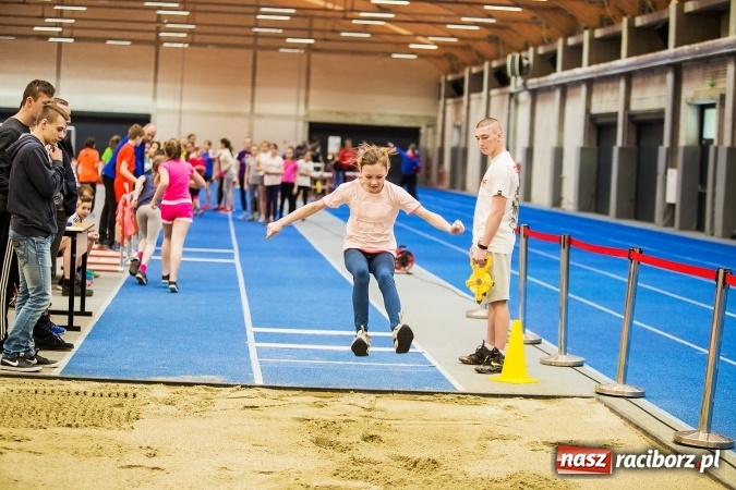 Zdjęcie w galerii na portalu naszraciborz.pl: Halowe Mistrzostwa Raciborza i Powiatu Raciborskiego w Lekkiej Atletyce wiadomości z regionu