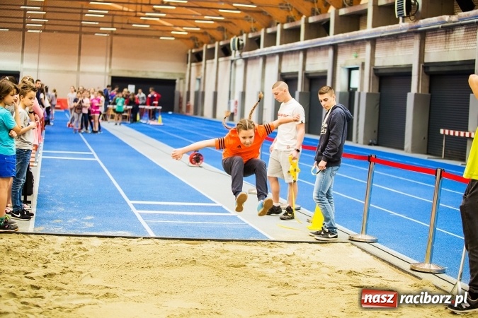 Zdjęcie w galerii na portalu naszraciborz.pl: Halowe Mistrzostwa Raciborza i Powiatu Raciborskiego w Lekkiej Atletyce wiadomości z regionu