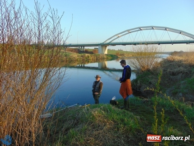 Zdjęcie w galerii na portalu naszraciborz.pl: Otwarcie Sezonu Spinningowego 2017 - w niedzielę odbyły się wędkarskie zawody sportowe wiadomości z regionu