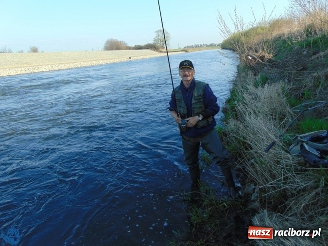 Zdjęcie w galerii na portalu naszraciborz.pl: Otwarcie Sezonu Spinningowego 2017 - w niedzielę odbyły się wędkarskie zawody sportowe wiadomości z regionu