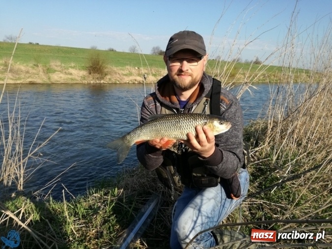 Zdjęcie w galerii na portalu naszraciborz.pl: Otwarcie Sezonu Spinningowego 2017 - w niedzielę odbyły się wędkarskie zawody sportowe wiadomości z regionu