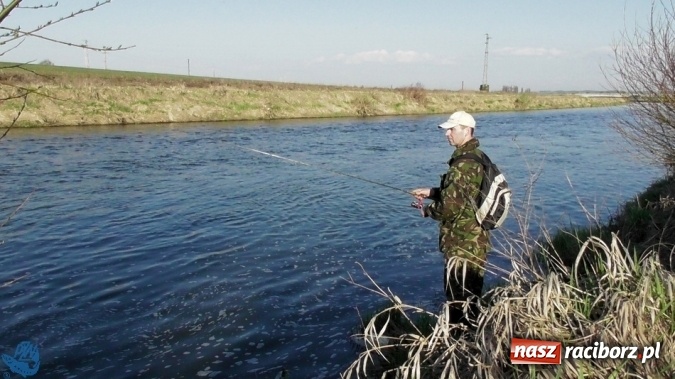 Zdjęcie w galerii na portalu naszraciborz.pl: Otwarcie Sezonu Spinningowego 2017 - w niedzielę odbyły się wędkarskie zawody sportowe wiadomości z regionu