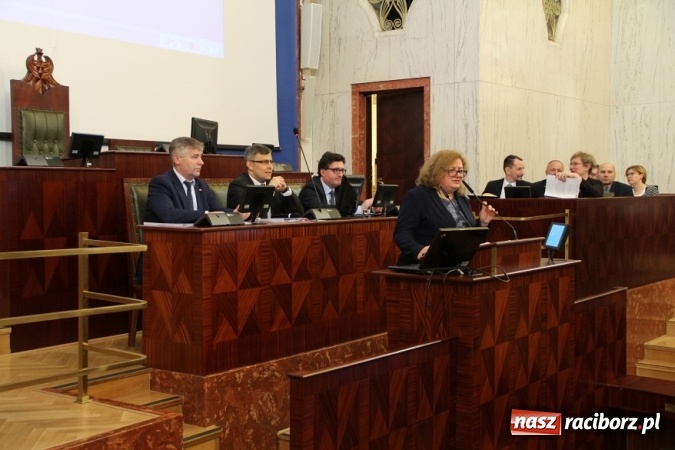 Zdjęcie w galerii na portalu naszraciborz.pl: O planach żeglownego połączenia Dunaju, Odry i Łaby w sali Sejmu Śląskiego wiadomości z regionu