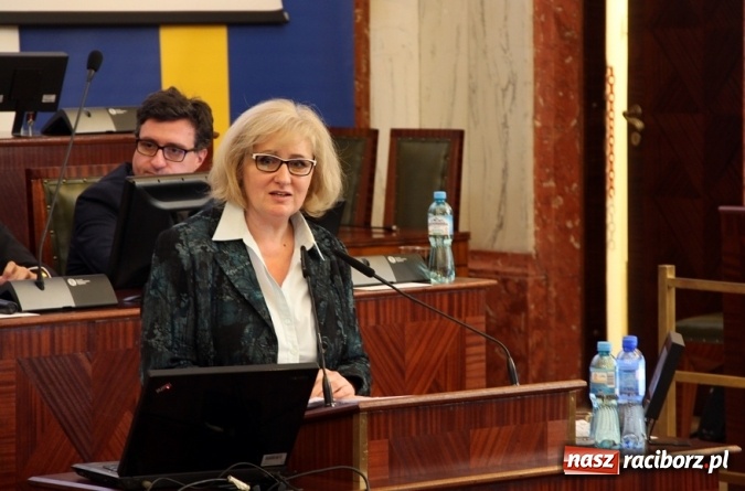 Zdjęcie w galerii na portalu naszraciborz.pl: O planach żeglownego połączenia Dunaju, Odry i Łaby w sali Sejmu Śląskiego wiadomości z regionu