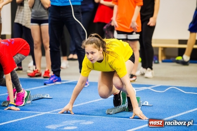 Zdjęcie w galerii na portalu naszraciborz.pl: Drugi dzień Halowych Mistrzostw Raciborza w Lekkiej Atletyce wiadomości z regionu