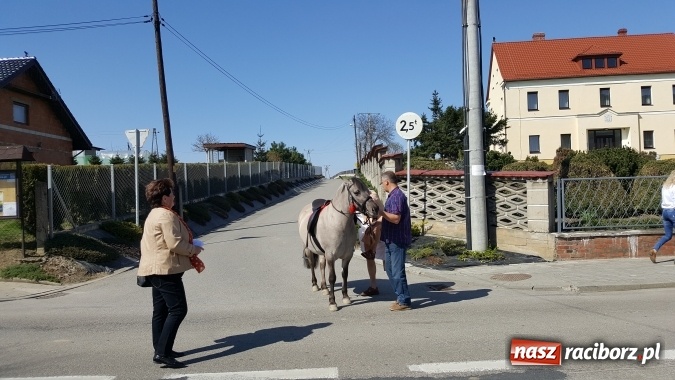 Zdjęcie w galerii na portalu naszraciborz.pl: Misterium Męki Pańskiej w Krzyżanowicach  wiadomości z regionu