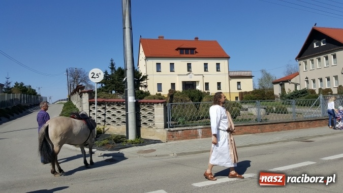 Zdjęcie w galerii na portalu naszraciborz.pl: Misterium Męki Pańskiej w Krzyżanowicach  wiadomości z regionu