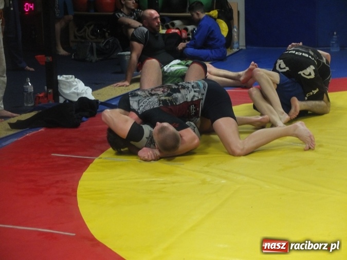 Zdjęcie w galerii na portalu naszraciborz.pl: Trwają przygotowania do Gali MMA wiadomości z regionu