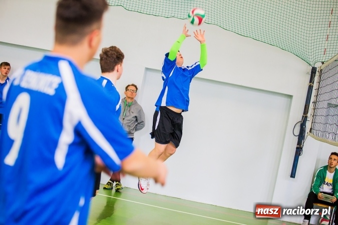 Zdjęcie w galerii na portalu naszraciborz.pl: Gimnazjum nr 3 ma najlepszych siatkarzy wiadomości z regionu
