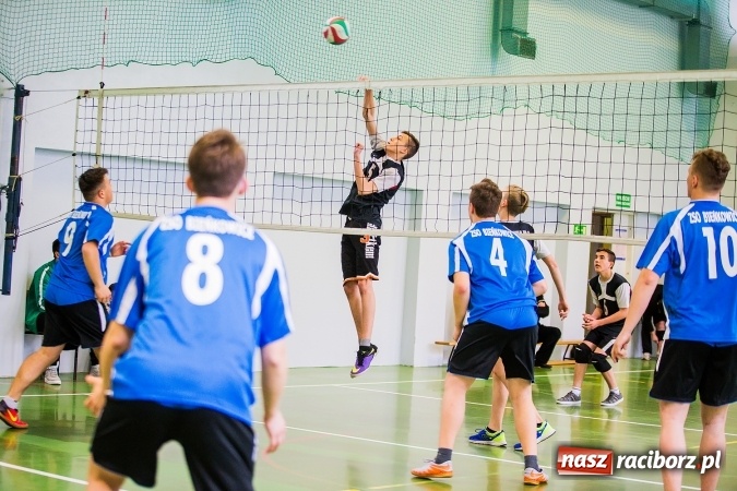 Zdjęcie w galerii na portalu naszraciborz.pl: Gimnazjum nr 3 ma najlepszych siatkarzy wiadomości z regionu