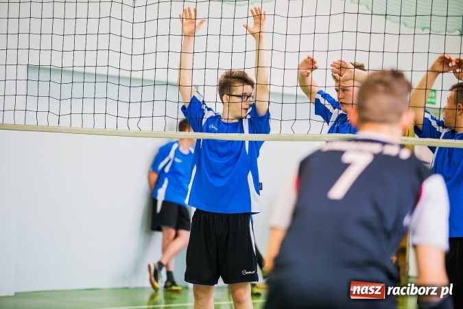 Zdjęcie w galerii na portalu naszraciborz.pl: Gimnazjum nr 3 ma najlepszych siatkarzy wiadomości z regionu