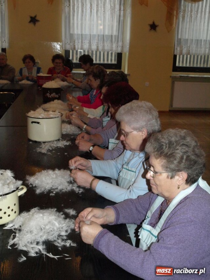 Zdjęcie w galerii na portalu naszraciborz.pl: Dużo pierza i śląskie śpiewanie wiadomości z regionu