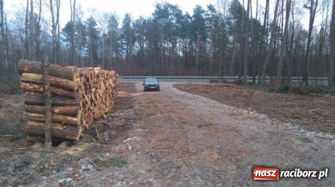Zdjęcie w galerii na portalu naszraciborz.pl: Dawna kolejka wąskotorowa Racib&oacute;rz-Rudy-Gliwice będzie teraz jeździć do... Rybnika wiadomości z regionu