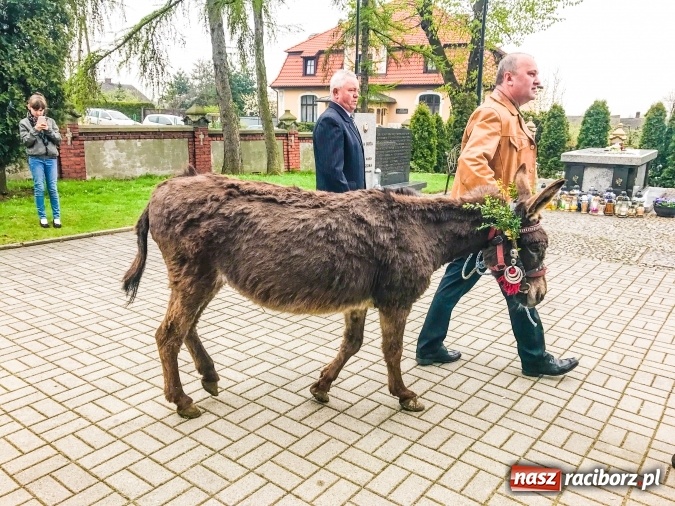 Zdjęcie w galerii na portalu naszraciborz.pl: Żałość ze śmiechem i smutek z weselem wiadomości z regionu