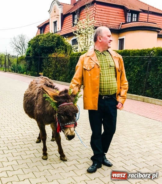 Zdjęcie w galerii na portalu naszraciborz.pl: Żałość ze śmiechem i smutek z weselem wiadomości z regionu