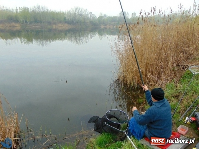 Zdjęcie w galerii na portalu naszraciborz.pl: Otwarcie Sezonu Spławikowego 2017. Wędkarskie zawody sportowe zaliczane do Grand Prix Koła Racibórz-Miasto wiadomości z regionu