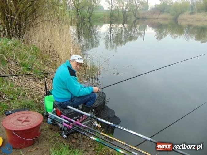 Zdjęcie w galerii na portalu naszraciborz.pl: Otwarcie Sezonu Spławikowego 2017. Wędkarskie zawody sportowe zaliczane do Grand Prix Koła Racibórz-Miasto wiadomości z regionu