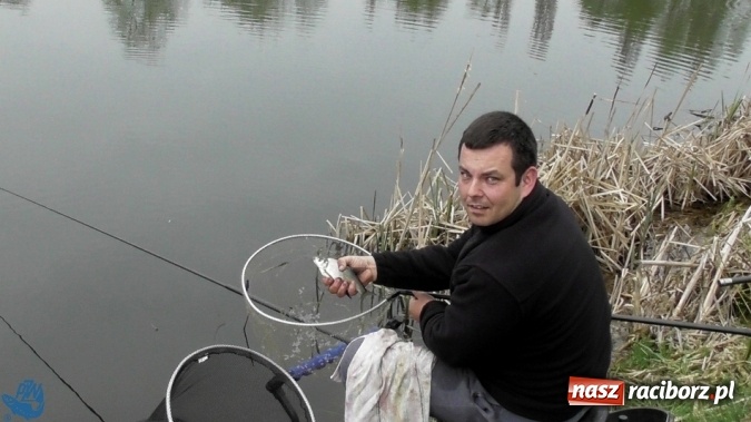 Zdjęcie w galerii na portalu naszraciborz.pl: Otwarcie Sezonu Spławikowego 2017. Wędkarskie zawody sportowe zaliczane do Grand Prix Koła Racibórz-Miasto wiadomości z regionu