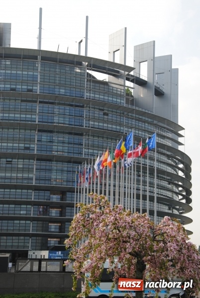 Zdjęcie w galerii na portalu naszraciborz.pl: Muzeum w Raciborzu zaprezentowało się w Strasburgu  wiadomości z regionu