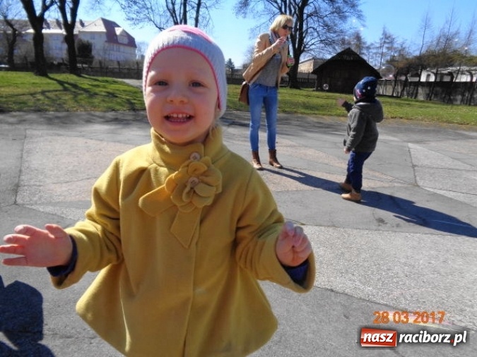 Zdjęcie w galerii na portalu naszraciborz.pl: Fiku-miku wspomina ciepłe dni  wiadomości z regionu