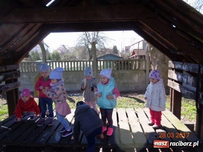 Zdjęcie w galerii na portalu naszraciborz.pl: Fiku-miku wspomina ciepłe dni  wiadomości z regionu