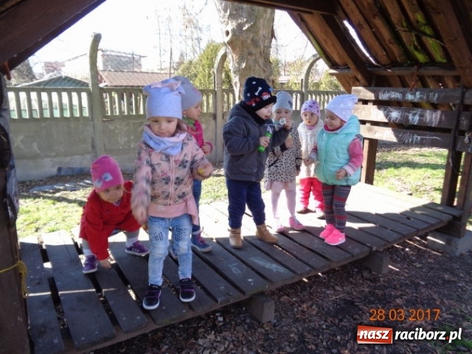 Zdjęcie w galerii na portalu naszraciborz.pl: Fiku-miku wspomina ciepłe dni  wiadomości z regionu