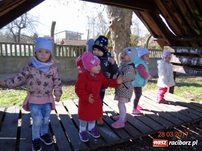 Zdjęcie w galerii na portalu naszraciborz.pl: Fiku-miku wspomina ciepłe dni  wiadomości z regionu