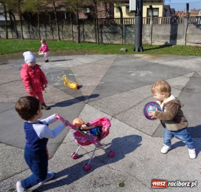 Zdjęcie w galerii na portalu naszraciborz.pl: Fiku-miku wspomina ciepłe dni  wiadomości z regionu