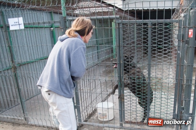 Zdjęcie w galerii na portalu naszraciborz.pl: Plan zmian - radni z wizytą w PK i schronisku dla zwierząt wiadomości z regionu