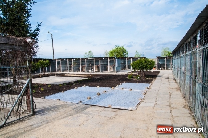 Zdjęcie w galerii na portalu naszraciborz.pl: Plan zmian - radni z wizytą w PK i schronisku dla zwierząt wiadomości z regionu