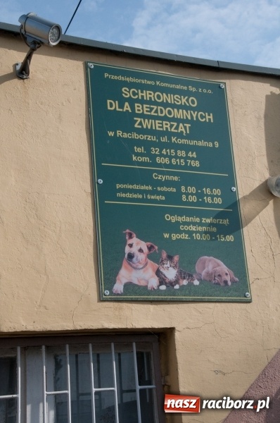 Zdjęcie w galerii na portalu naszraciborz.pl: Plan zmian - radni z wizytą w PK i schronisku dla zwierząt wiadomości z regionu
