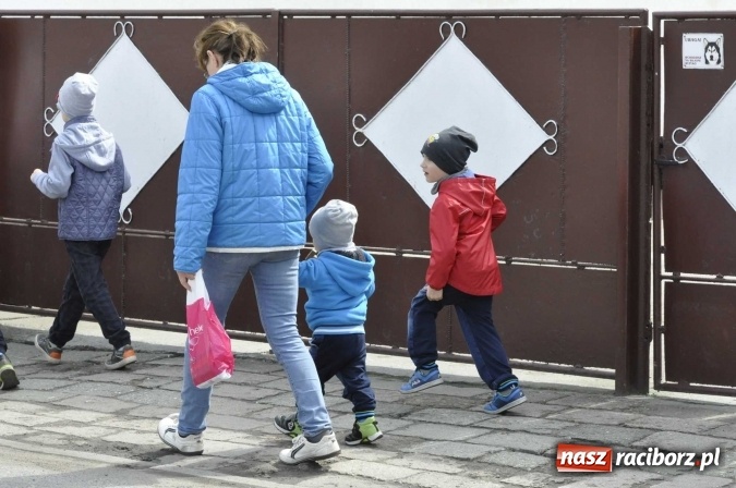 Zdjęcie w galerii na portalu naszraciborz.pl: W Raciborzu-Sudole tradycji stało się zadość. Dzieci przeszły od domu do domu z klekotkami wiadomości z regionu