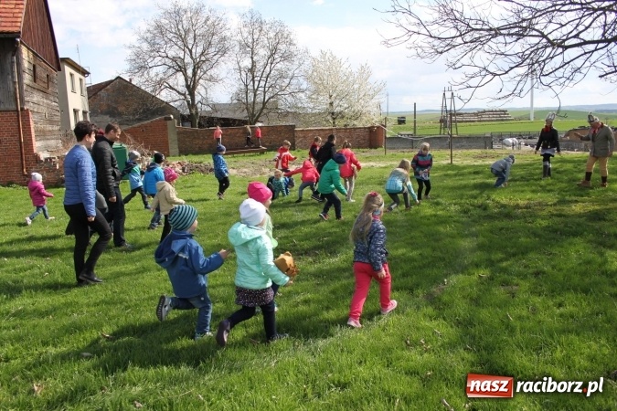 Zdjęcie w galerii na portalu naszraciborz.pl: Szukanie zajączka w wojnowickich ogrodach wiadomości z regionu