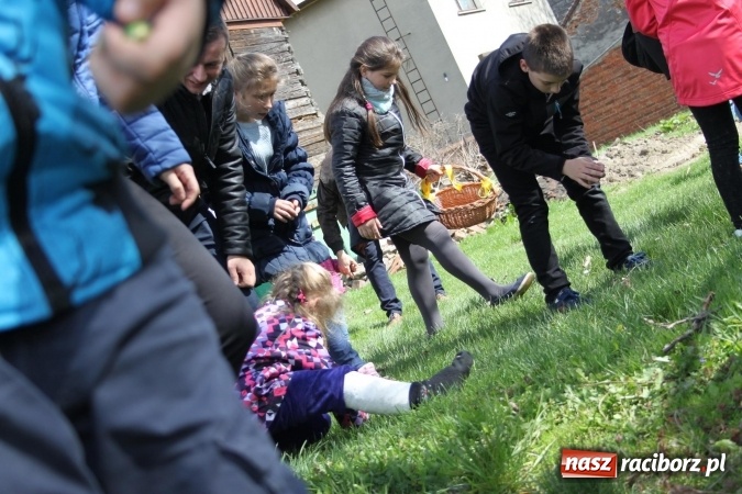 Zdjęcie w galerii na portalu naszraciborz.pl: Szukanie zajączka w wojnowickich ogrodach wiadomości z regionu